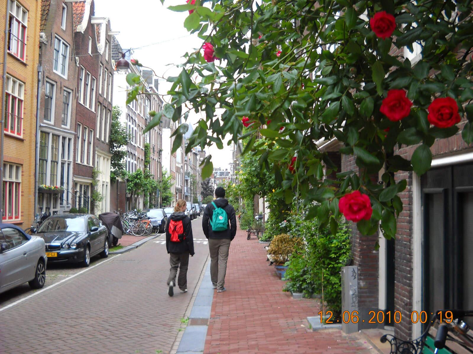 Summer Street Viewing in Amsterdam